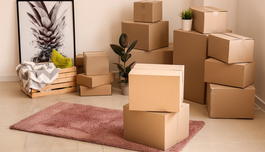 More for less kleding hotsell